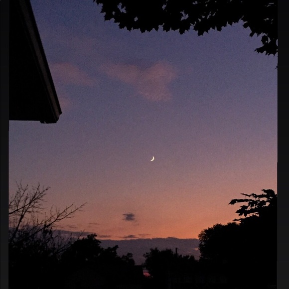 Meet your Posher, Marabelle - Picture 8 of 8